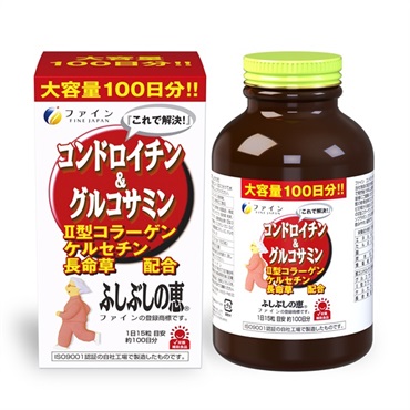 コンドロイチン＆グルコサミン ふしぶしの恵 お徳用 100日分