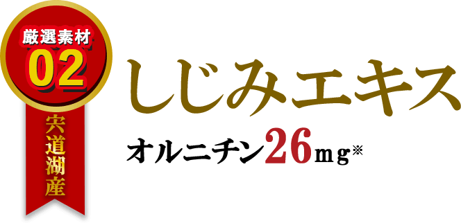 厳選素材02　宍道湖産しじみエキス　オルニチン26mg※