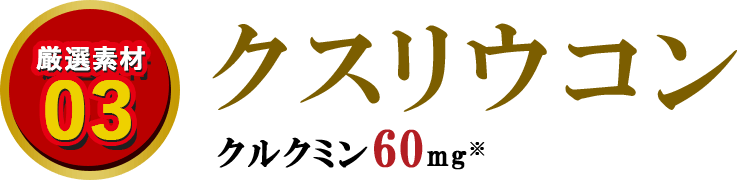 厳選素材03　クスリウコン　クルクミン60mg※