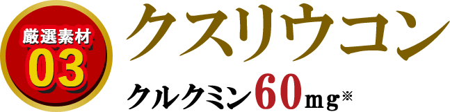 厳選素材03　クスリウコン　クルクミン60mg※