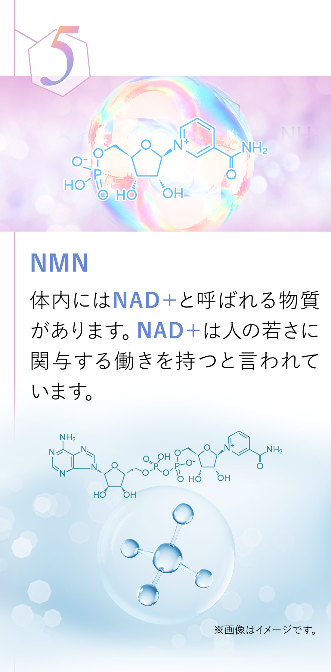 NMN