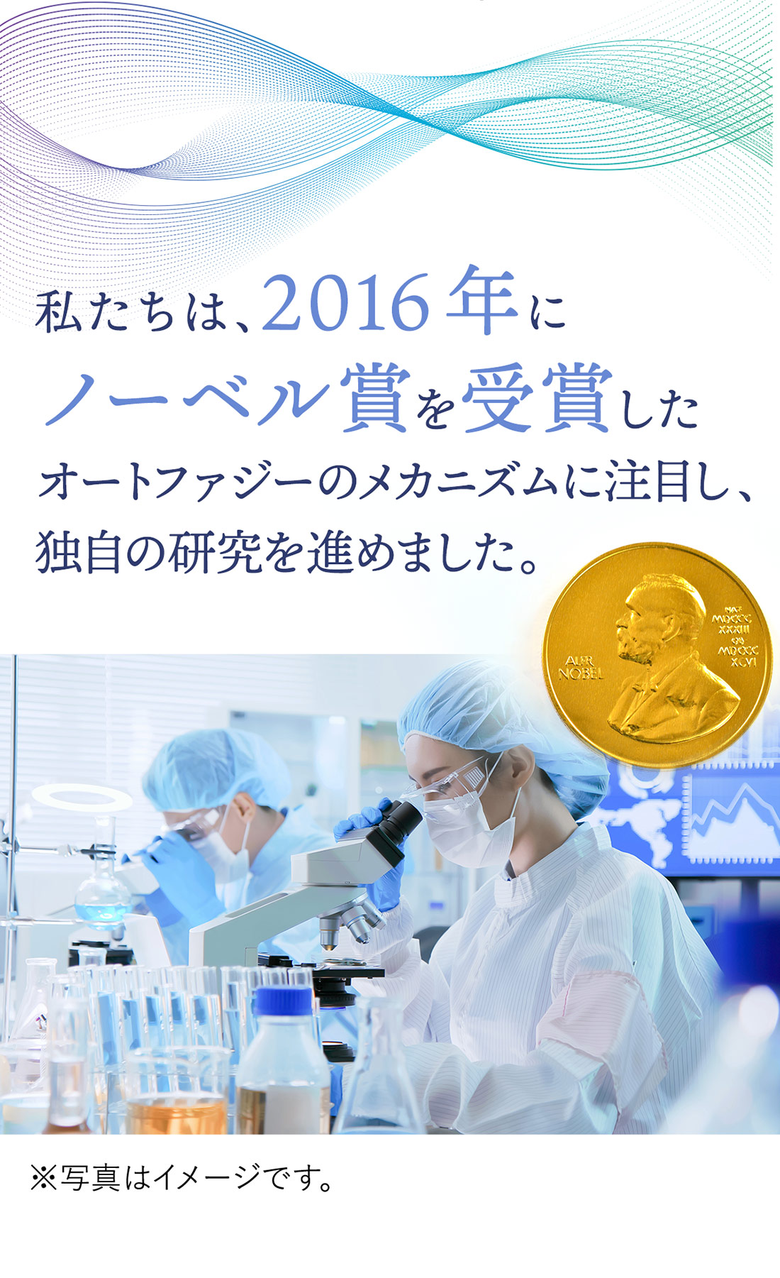 私たちは、2016年にノーベル生理学・医学賞を受賞したオートファジーのメカニズムに注目し、独自の研究を進めました。