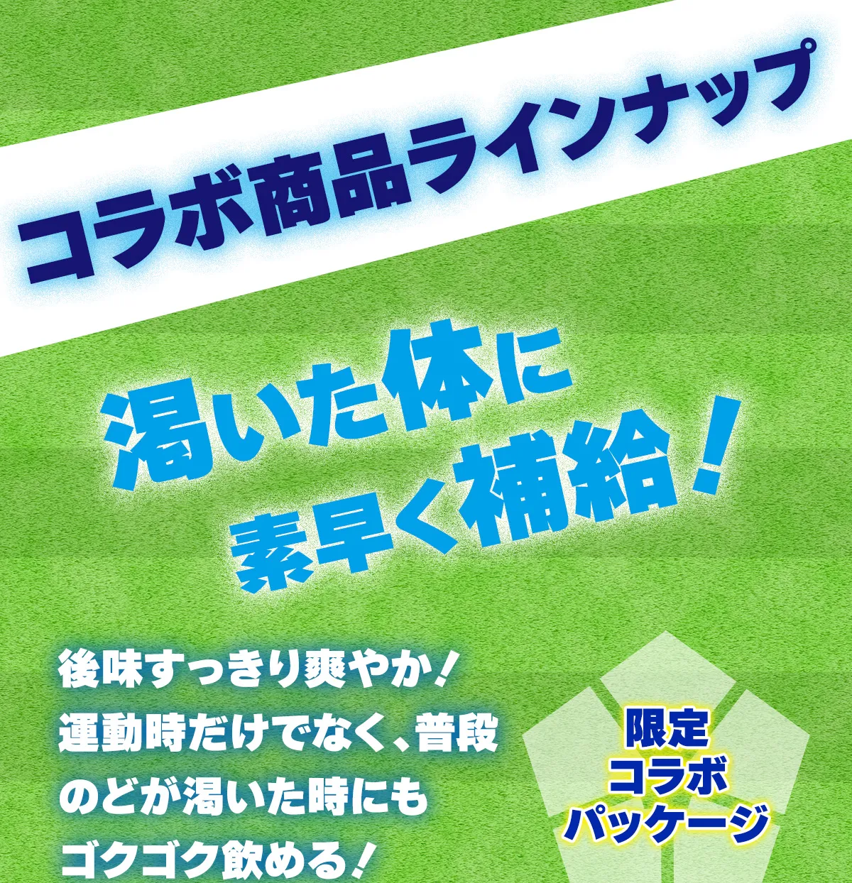 商品ラインナップ