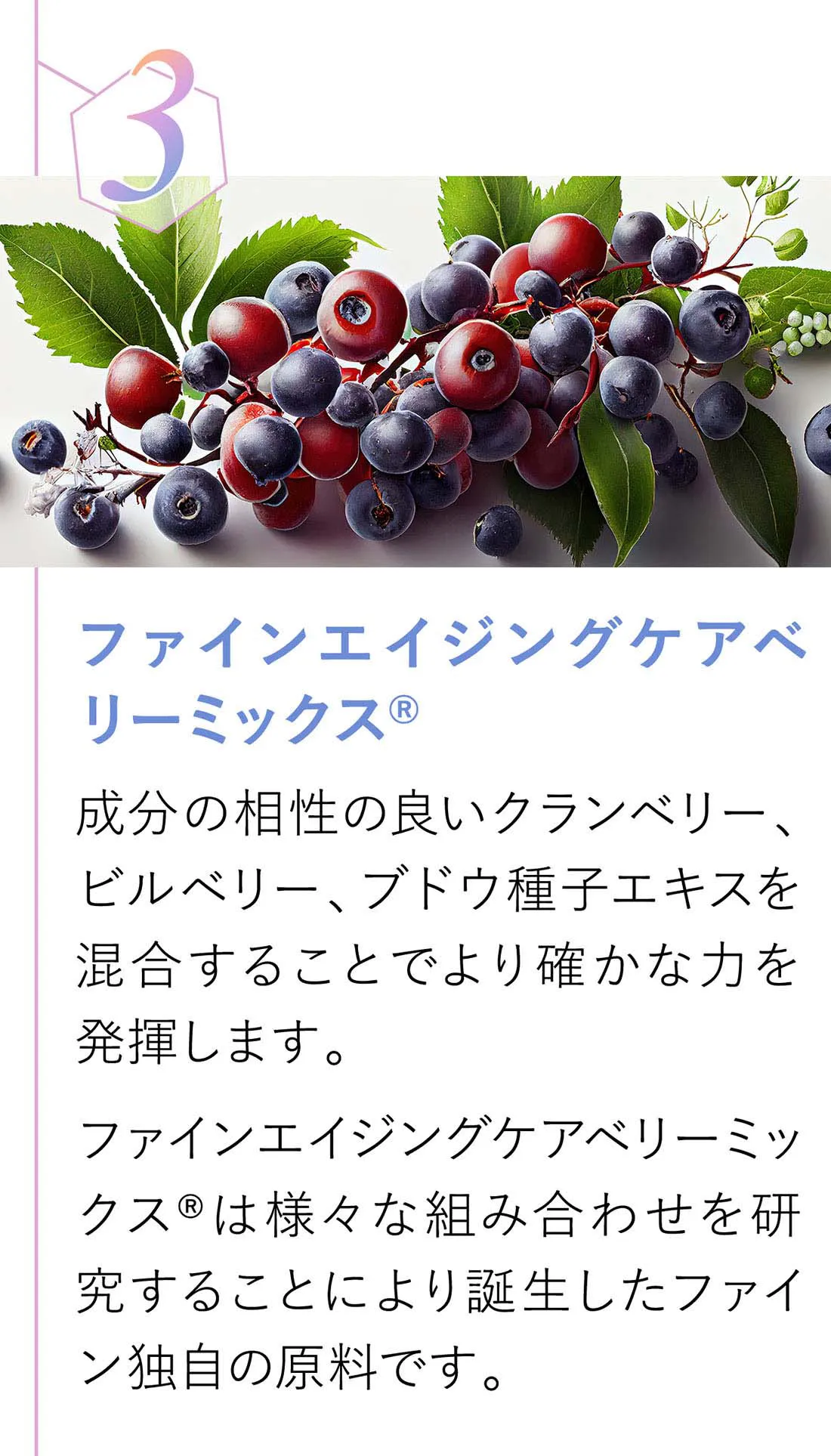 ファインエイジングケアベリーミックス。