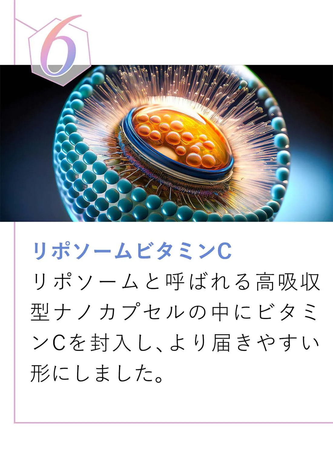 リポソームビタミンC