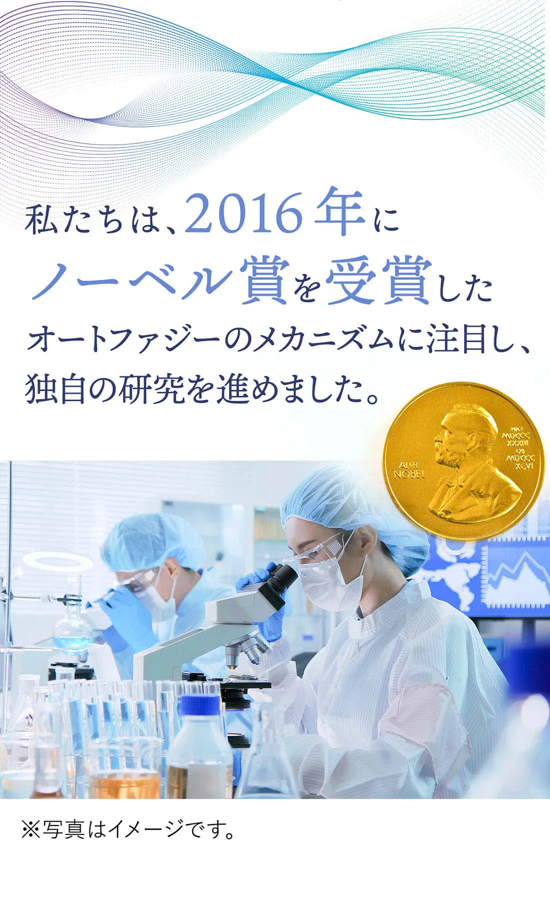 私たちは、2016年にノーベル生理学・医学賞を受賞したオートファジーのメカニズムに注目し、独自の研究を進めました。