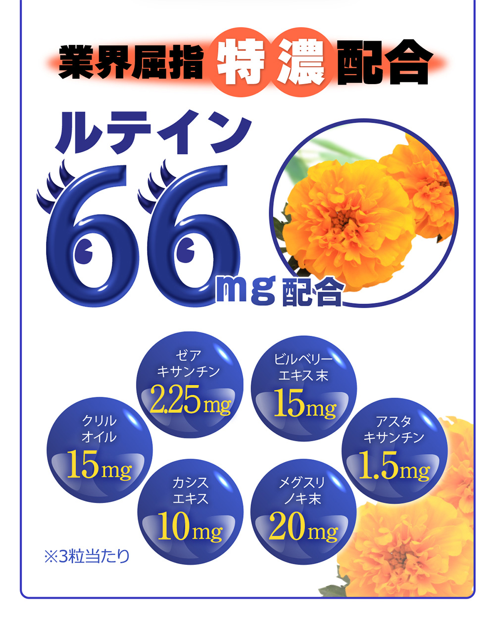 業界屈指特濃配合 ルテイン66mg配合