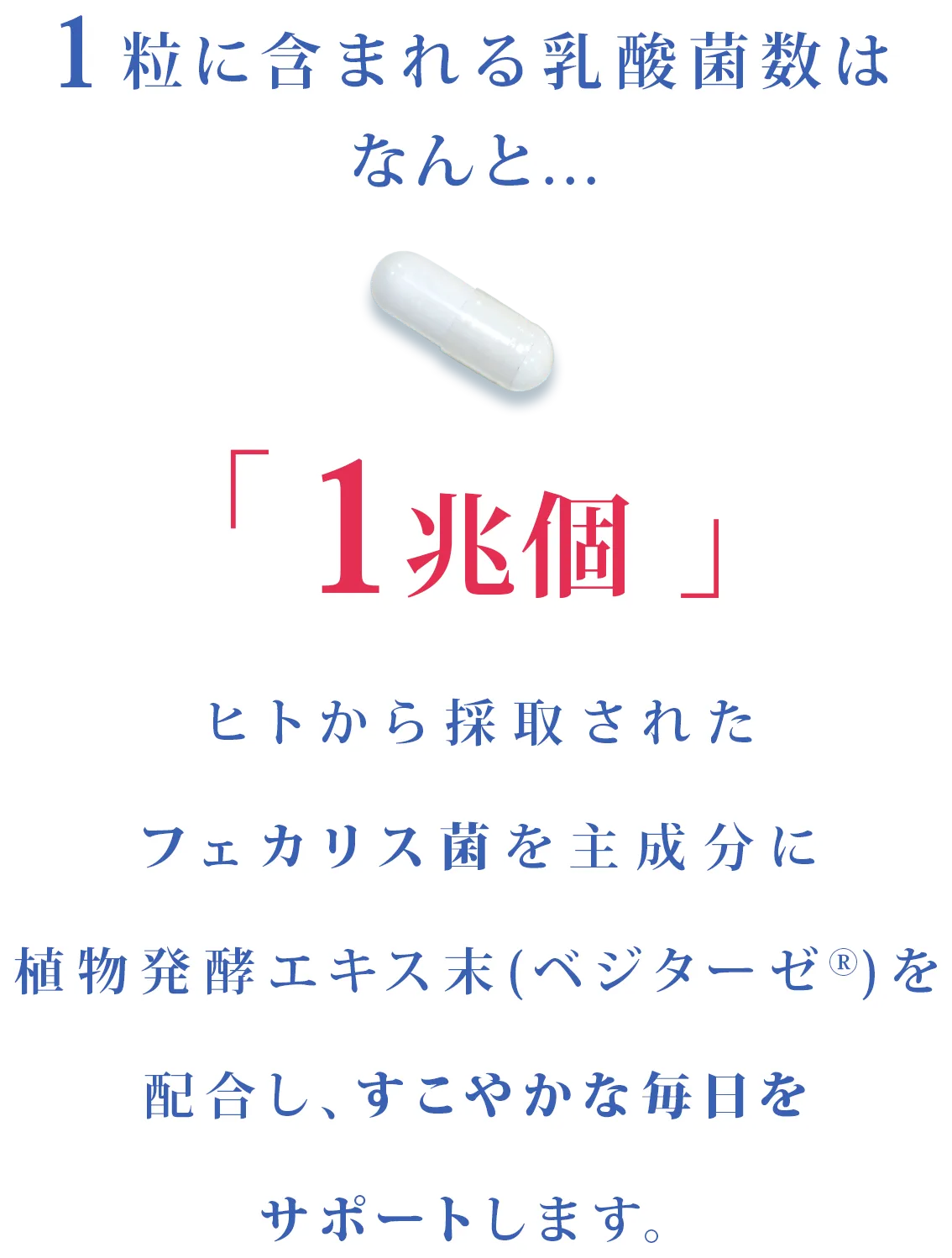1粒に1兆個の乳酸菌