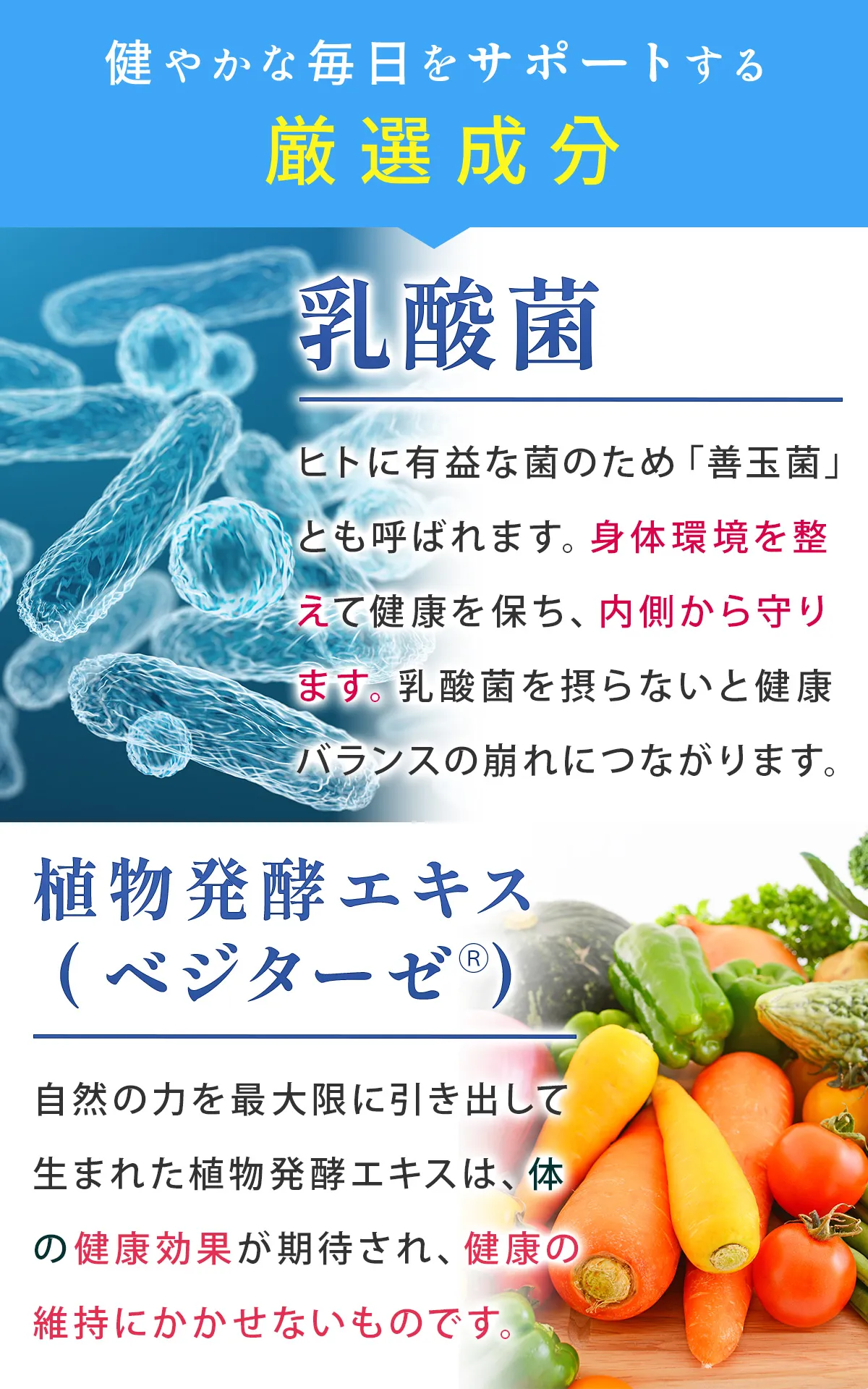 健やかな毎日をサポートする厳選成分