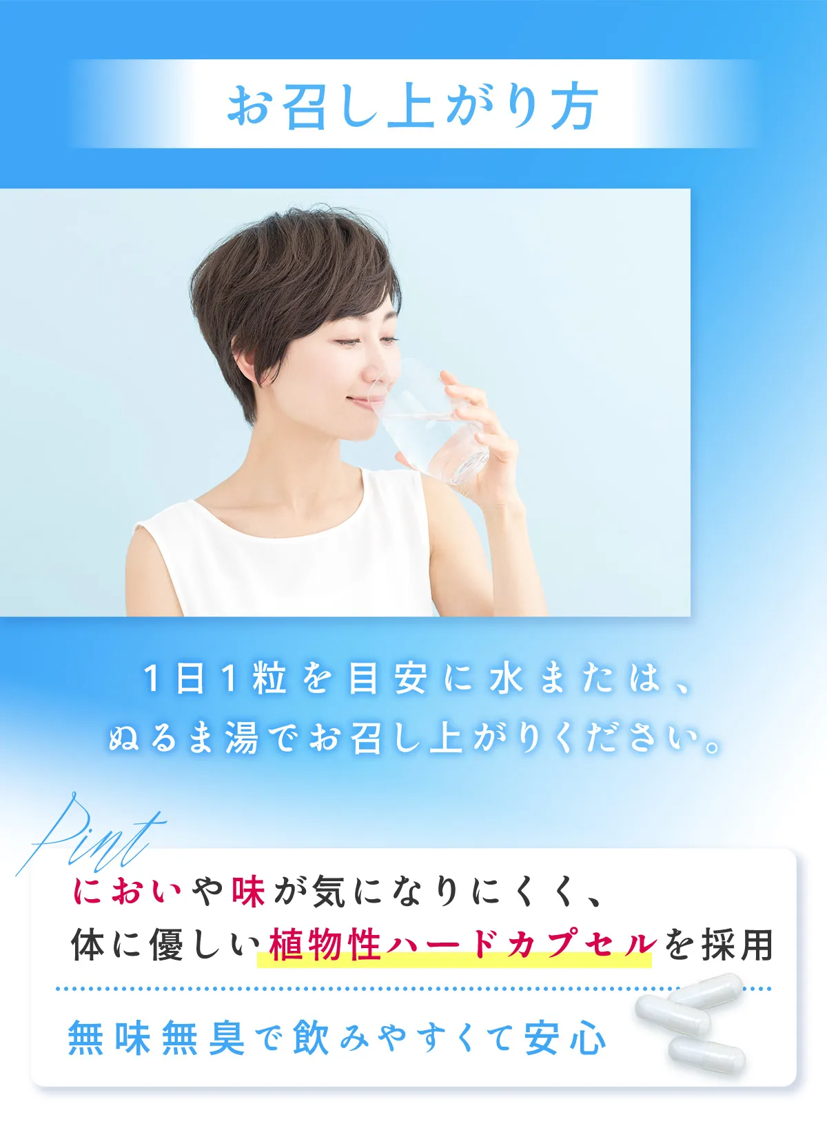 お召し上がり方