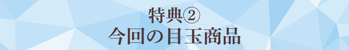 特典②今回の目玉商品