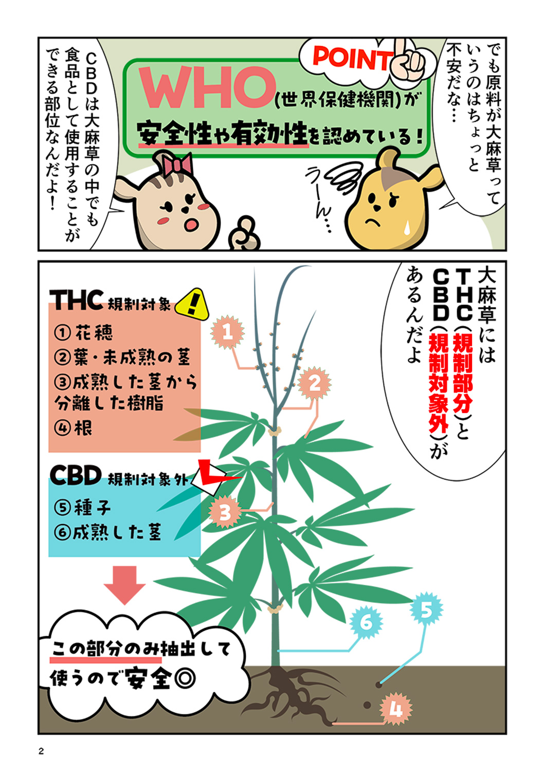WHOも安全性や有効性を認めている