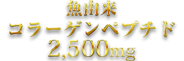 魚由来コラーゲンペプチド 2,500mg