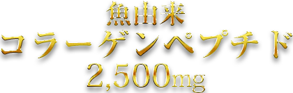 魚由来コラーゲンペプチド 2,500mg