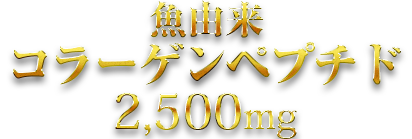 魚由来コラーゲンペプチド 2,500mg