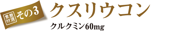 「ファイン 金の肝臓」厳選素材3/クスリウコン