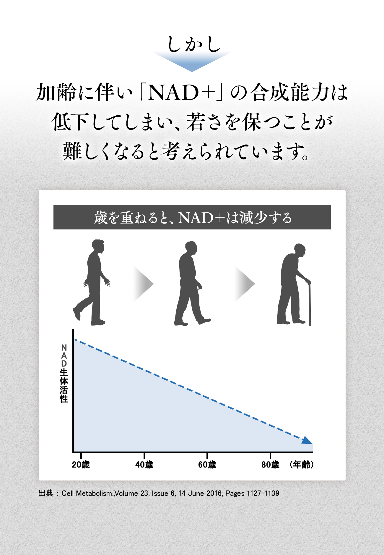 加齢に伴いNAD+の合成能力は低下してしまい、若さを保つことが難しくなると考えられています。