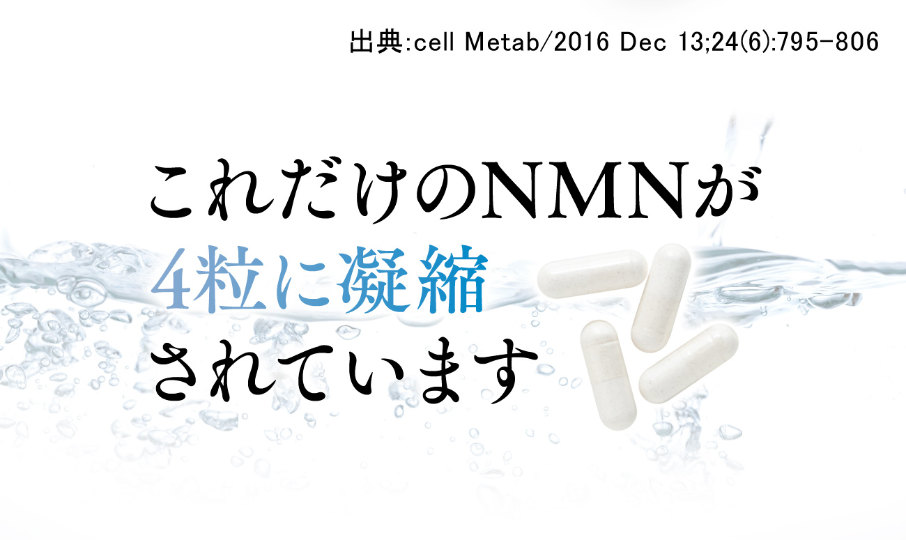 これだけのNMNが4粒に凝縮されています