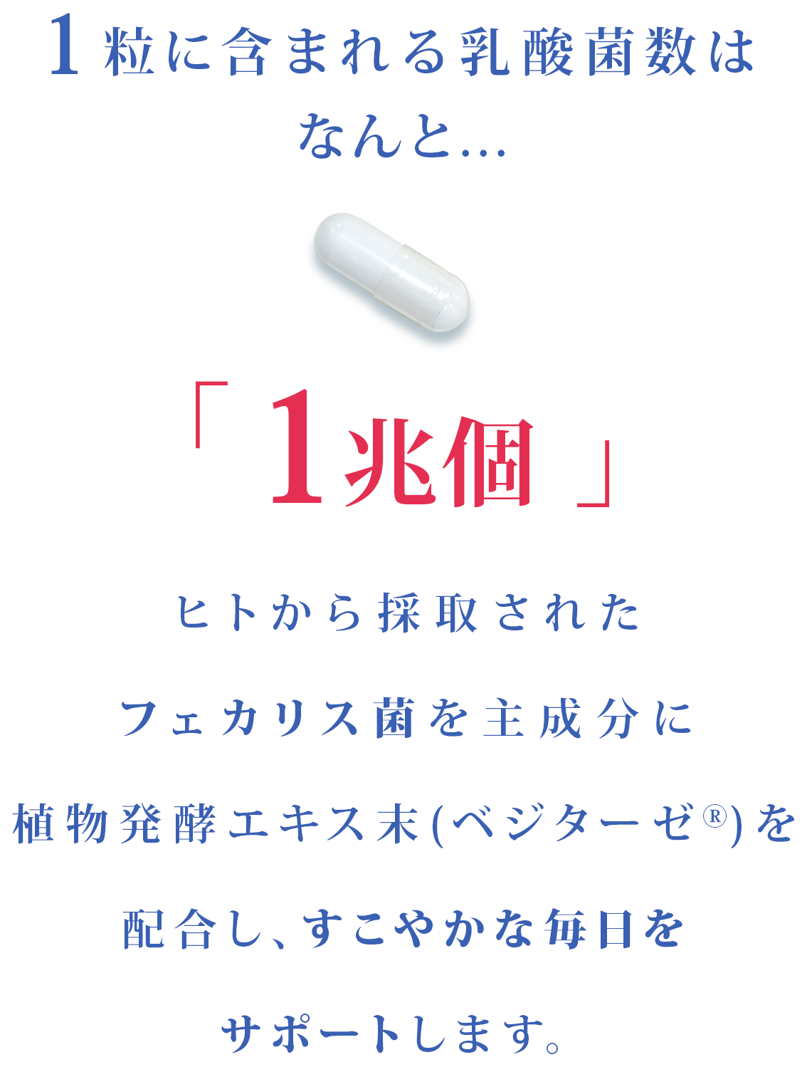 1粒に1兆個の乳酸菌
