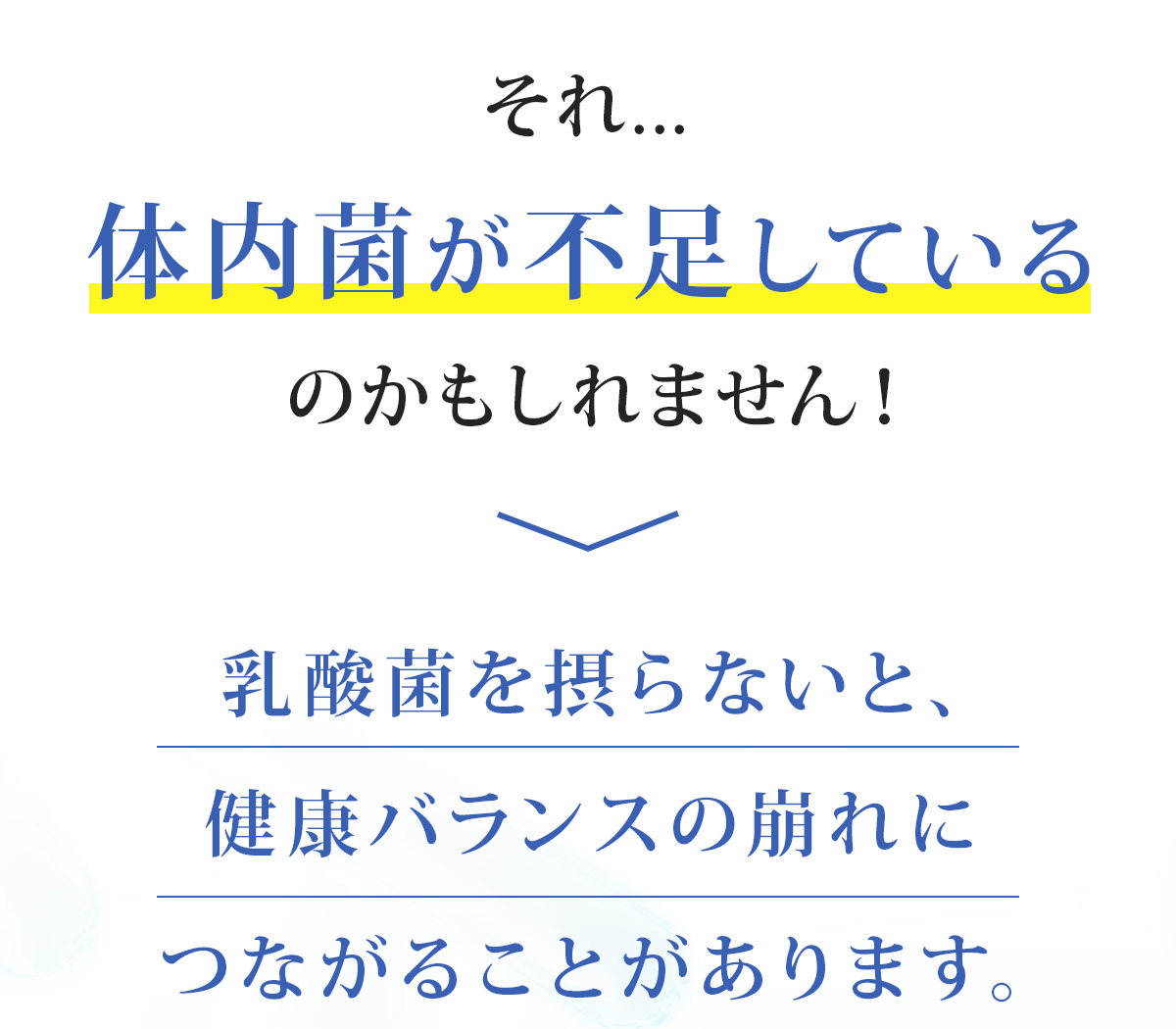 体内環境の乱れと乳酸菌