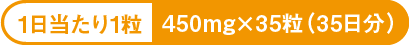 1日当たり1粒：450mg×35粒（35日分）