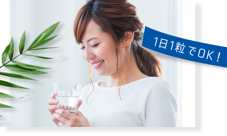 ファイン UV気にならないは、1日1粒でOK！